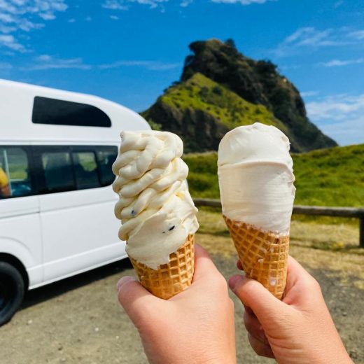 Licking good trip with Karl the Camper - by affordable New Zealand Campervans