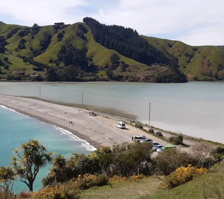 Great social media pic